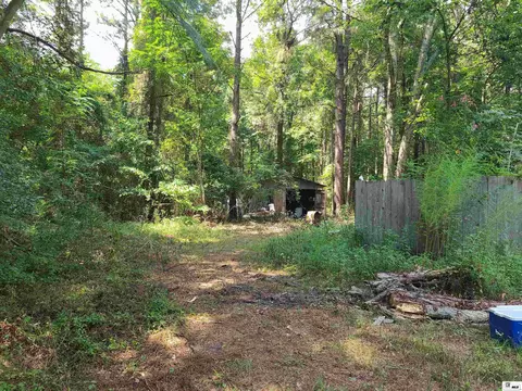 396 Highway 145, Downsville, LA 71234 photo 6