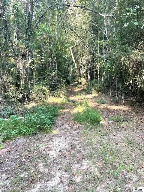 000 Evening Rd, Chatham, LA 71226