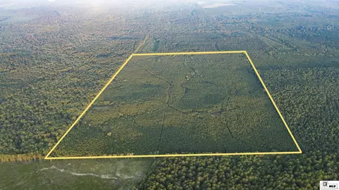 0 Highway 167, Junction City, LA 71256