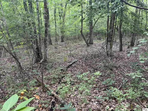 00 Connie Walters Rd, Calhoun, LA 71225