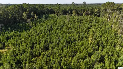 000 Alton Auger Rd, Marion, LA 71260