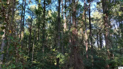 000 State Line Rd, Huttig, AR 71747 photo 5