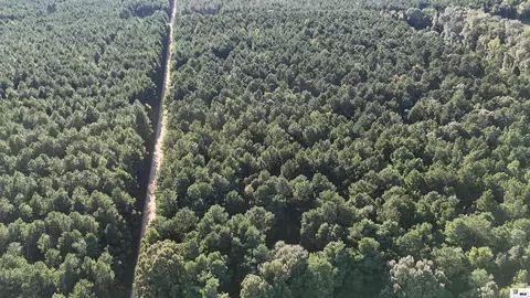000 State Line Rd, Huttig, AR 71747 photo 2