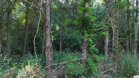 000 State Line Rd, Huttig, AR 71747 photo 3