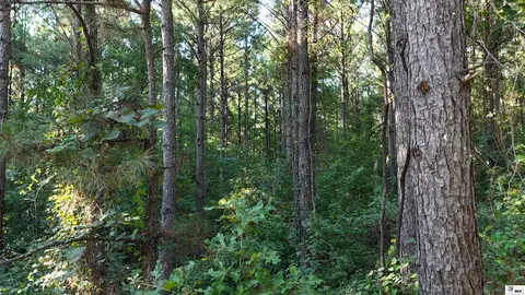 000 State Line Rd, Huttig, AR 71747 photo 4