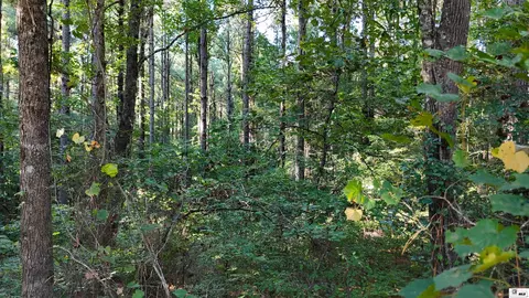 000 State Line Rd, Huttig, AR 71747 photo 6