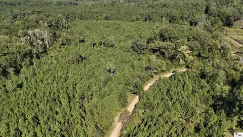 000 Lynn Wheelis Rd, Marion, LA 71260