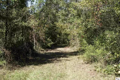 0 Anderson Rd # B, Choudrant, LA 71227 photo 5