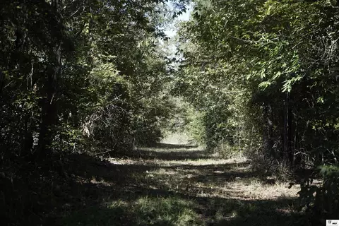 0 Anderson Rd # B, Choudrant, LA 71227 photo 7