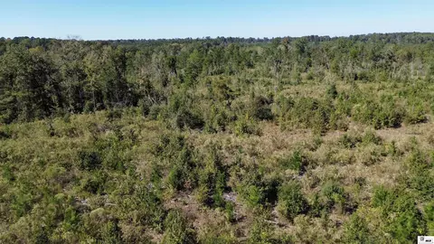0 Anderson Rd # B, Choudrant, LA 71227 photo 19