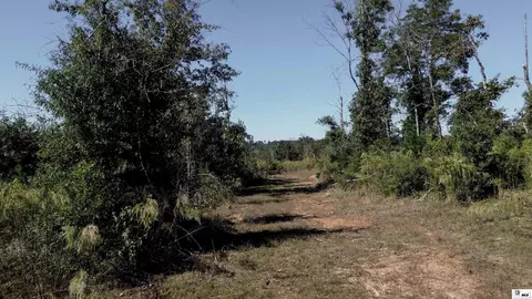 0 Anderson Rd # B, Choudrant, LA 71227 photo 13