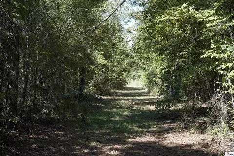 0 Anderson Rd # B, Choudrant, LA 71227 photo 6
