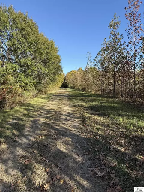 000 Thomas Rd, Rayville, LA 71269