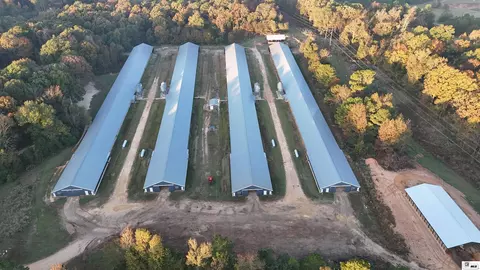 1034 Mccrary Rd, Downsville, LA 71234