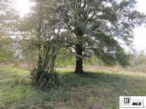 000 Highway 585, Rayville, LA 71269