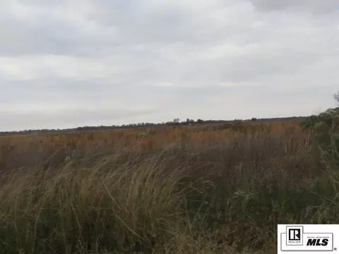 289 Caston Rd, Rayville, LA 71269
