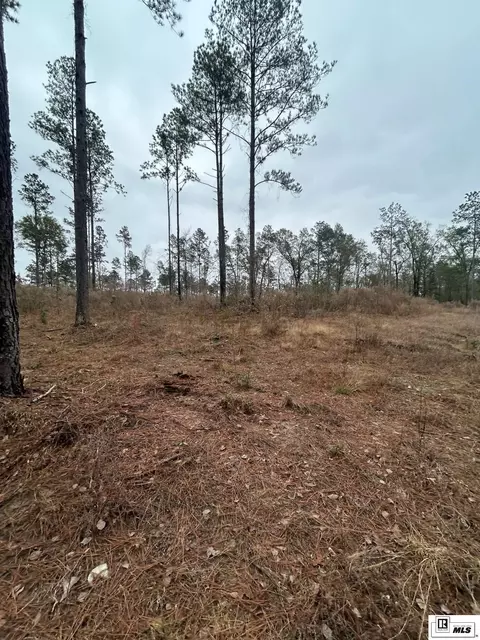 00 Cadeville Lodge Rd, West Monroe, LA 71292