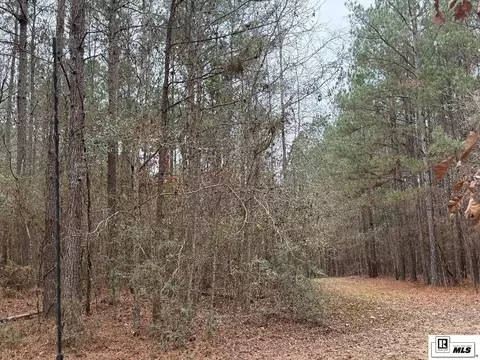 0 Highway 818, Ruston, LA 71270 photo 3