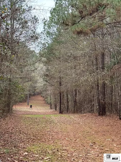 0 Highway 818, Ruston, LA 71270 photo 2