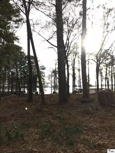 000 Wildwood Dr, Farmerville, LA 71241