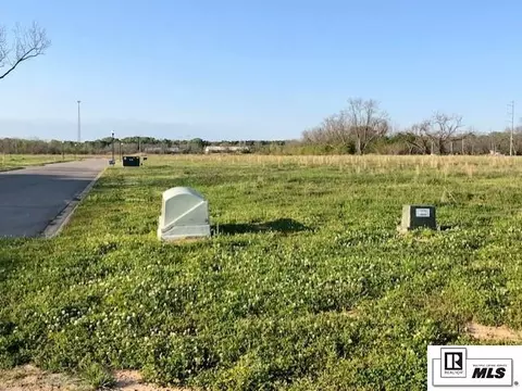 0 Highway 165, Monroe, LA 71203 photo 3