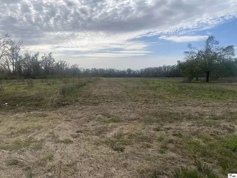 377 Mcpherson Rd, Epps, LA 71238 photo 10