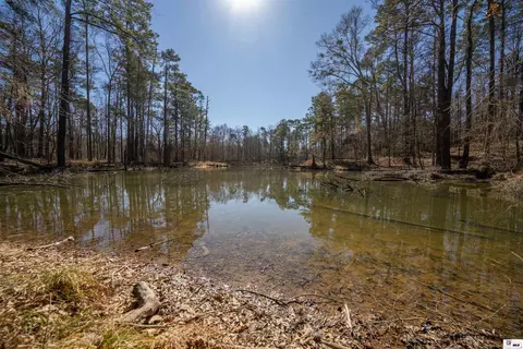 0 Rodney Rd, Lorman, MS 39069 photo 30