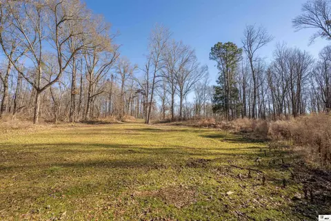 0 Rodney Rd, Lorman, MS 39069 photo 15