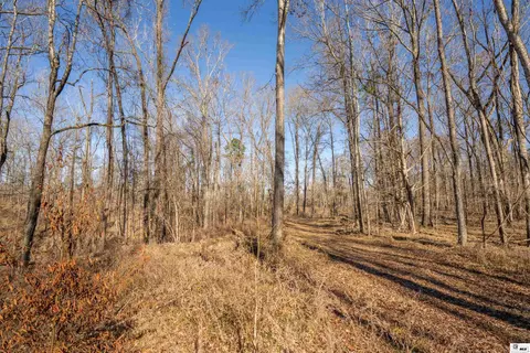 0 Rodney Rd, Lorman, MS 39069 photo 17