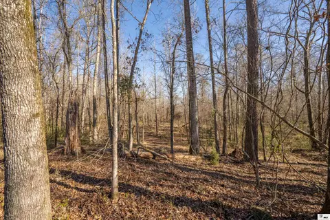 0 Rodney Rd, Lorman, MS 39069 photo 9
