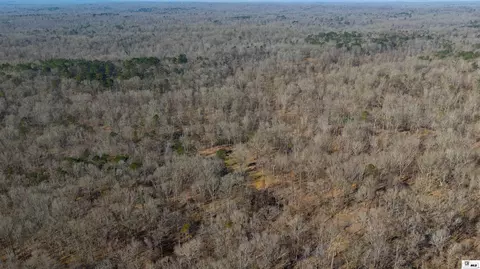 0 Rodney Rd, Lorman, MS 39069 photo 32