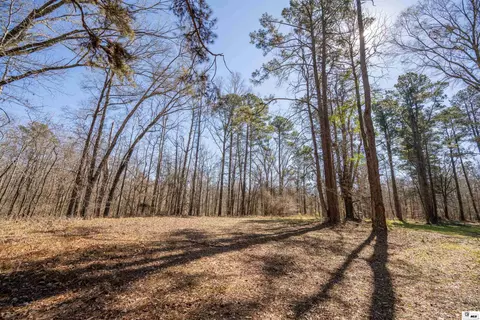 0 Rodney Rd, Lorman, MS 39069 photo 31