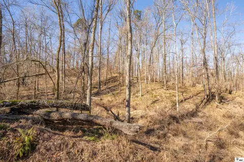 0 Rodney Rd, Lorman, MS 39069 photo 23