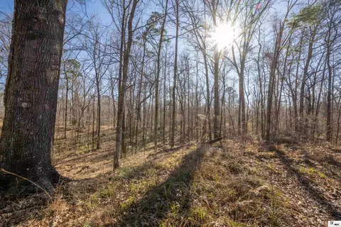 0 Rodney Rd, Lorman, MS 39069 photo 11