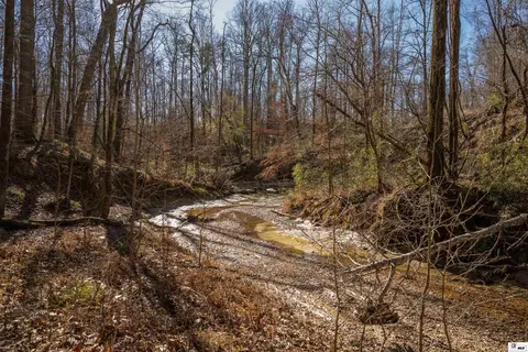 0 Rodney Rd, Lorman, MS 39069 photo 26