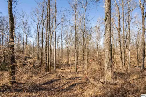 0 Rodney Rd, Lorman, MS 39069 photo 16