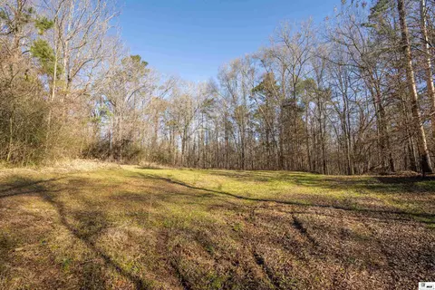0 Rodney Rd, Lorman, MS 39069 photo 4