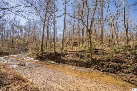 0 Rodney Rd, Lorman, MS 39069 photo 28