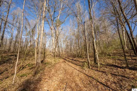 0 Rodney Rd, Lorman, MS 39069 photo 10