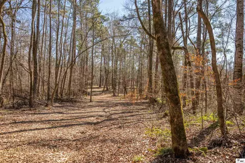 0 Rodney Rd, Lorman, MS 39069 photo 24