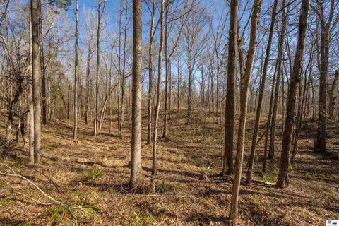 0 Rodney Rd, Lorman, MS 39069 photo 13