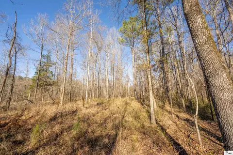 0 Rodney Rd, Lorman, MS 39069 photo 8