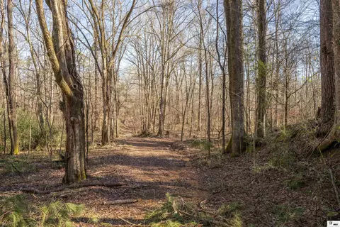 0 Rodney Rd, Lorman, MS 39069 photo 6