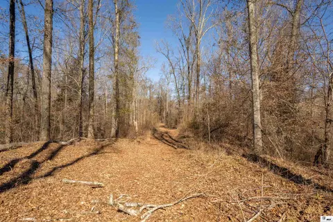 0 Rodney Rd, Lorman, MS 39069 photo 20