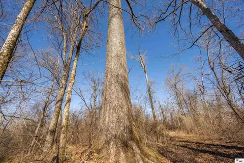 0 Rodney Rd, Lorman, MS 39069 photo 22