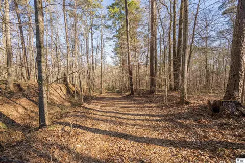 0 Rodney Rd, Lorman, MS 39069 photo 5