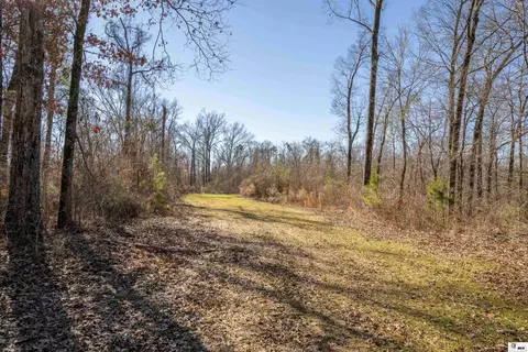 0 Rodney Rd, Lorman, MS 39069 photo 21
