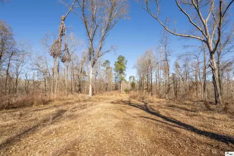 0 Rodney Rd, Lorman, MS 39069 photo 19