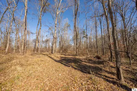 0 Rodney Rd, Lorman, MS 39069 photo 14