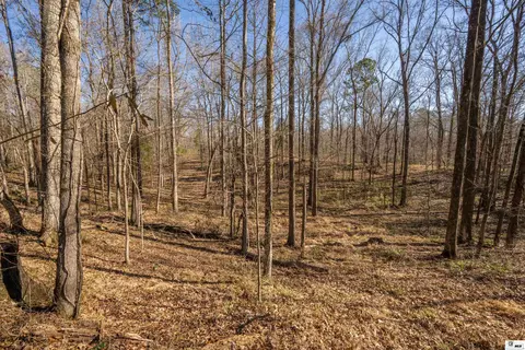 0 Rodney Rd, Lorman, MS 39069 photo 12